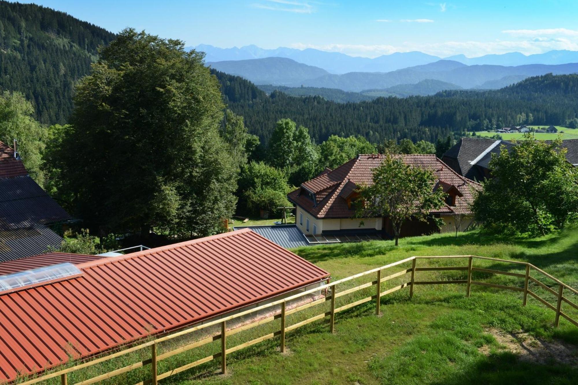 Little Farm Apartments Feldkirchen in Kärnten Kültér fotó